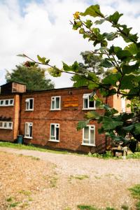 un edificio de ladrillo con ventanas blancas y un árbol en Hurtwood Hideout, en Holmbury Saint Mary