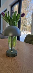 Billede fra billedgalleriet på Czarna Stodoła i Piechowice