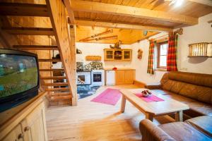 a living room with a couch and a tv at Schröckhütte in Bad Hofgastein