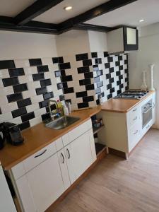 Kuchyň nebo kuchyňský kout v ubytování Urban Oasis - BIG stylish Apartment