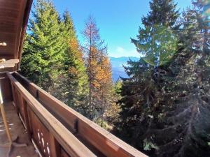 Naturlandskabet i nærheden af lejligheden