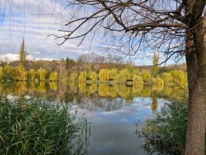 克拉约瓦Harmony Villa Craiova的享有背景树木的湖泊美景