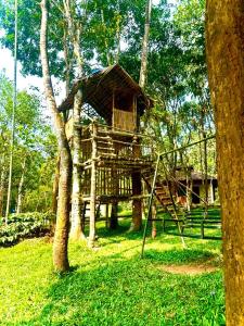 ein Baumhaus mitten im Wald in der Unterkunft Rendezvous Jungle Resort in Sultan Bathery