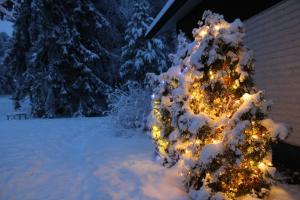 Atmospheric house on riverbank v zimě