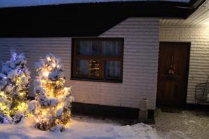 Atmospheric house on riverbank v zimě