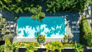 an overhead view of a swimming pool with palm trees at ProCab Kaya Apartments Cabarete in Cabarete