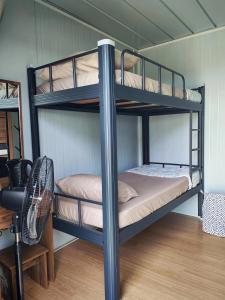 Cette chambre dispose de lits superposés, de 2 lits superposés et d'un bureau. dans l'établissement Inap Cabin, à Teluk Bahang