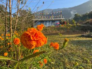 Gallery image of Casa Blu in Chauntrā