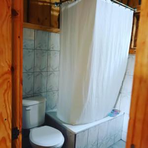 une salle de bain avec toilettes et rideau de douche dans l'établissement Cabaña entre Arboles, à Villarrica 11 autres photos
