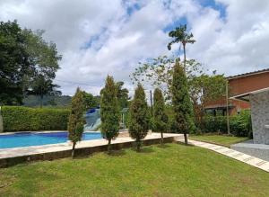 una fila de árboles junto a una piscina en El Roble, en San Carlos