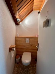 La salle de bains est pourvue de toilettes et d'un plafond en bois. dans l'établissement Triplex 8 people 4 bedrooms, à Saint-Chaffrey 16 autres photos