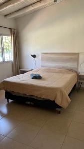 een slaapkamer met een groot bed in een kamer bij Cabañas Vista andes in Ciudad Lujan de Cuyo