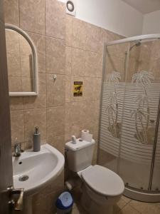 a bathroom with a shower and a toilet and a sink at Apartament central in Craiova