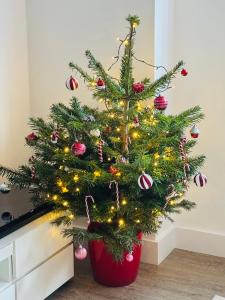 un árbol de navidad en una maceta roja en Chester's - Central Chester Stays - 2 Cuppin Street - 2 Minute Walk From Shops, en Chester