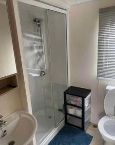 Un baño con ducha, lavabo e inodoro. en La Campine, en Érezée