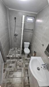 a bathroom with a toilet and a sink at Garsoniera in Craiova