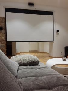 a large projection screen in a room with a couch at Colmar Apartment in Colmar