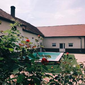 Bazén v ubytování Pensiunea Roma MD nebo v jeho okolí