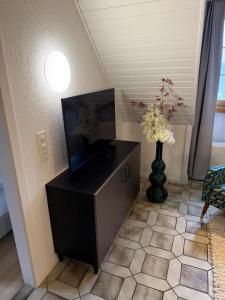 Μια τηλεόραση ή/και κέντρο ψυχαγωγίας στο LaVida LakeSoul