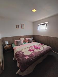 Ένα ή περισσότερα κρεβάτια σε δωμάτιο στο Apartmán HRANICE - Hřensko