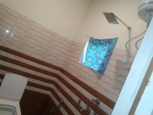 a bathroom with a toilet and a pillow on the wall at Hotel B M AND SONS in Phata