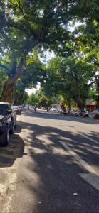 eine Straße mit Autos, die unter einem großen Baum geparkt sind in der Unterkunft Casa aconchegante e bem localizada - São Brás in Belém