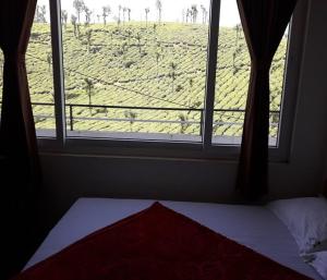 バルパライにあるDream View INNのフィールドビューの窓付きのベッドルーム