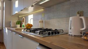 Køkken eller tekøkken på Piątka - Apartamenty Parkowe