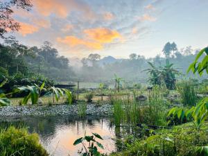 Příroda nedaleko luxury tent