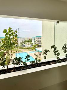 Πισίνα στο ή κοντά στο Paradisio Rentals