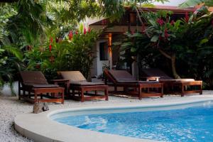 a swimming pool with lounge chairs and a house at Samara Chillout Lodge - Adults only in Sámara