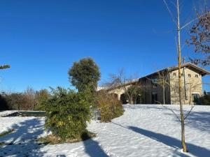 a tree in the snow in front of a building at CA' SAN LUISS in Cerretto Langhe