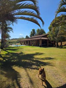 Un jardín fuera de Chácara Vitória Rústica