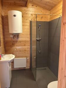 a bathroom with a shower and a sink at Domki caloroczne Hotel Zagiel in Niewiesze +14 photos