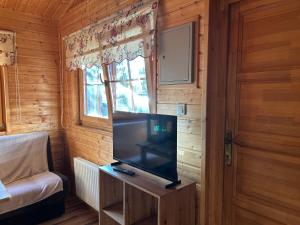 Μια τηλεόραση ή/και κέντρο ψυχαγωγίας στο Domki caloroczne Hotel Zagiel