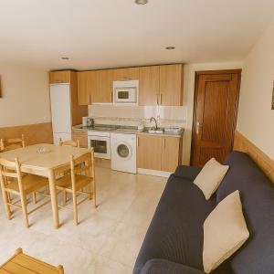 Kuchyň nebo kuchyňský kout v ubytování Apartamentos casa Carola