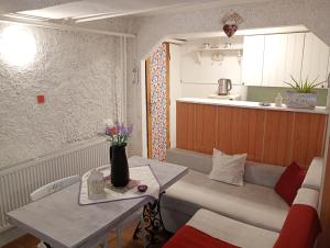 Kuchyň nebo kuchyňský kout v ubytování Pearl of Danube + 17 fotografií