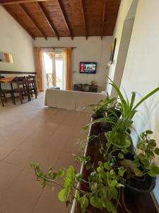 a living room with a couch and potted plants at Cabañas Canluma in Villa Giardino