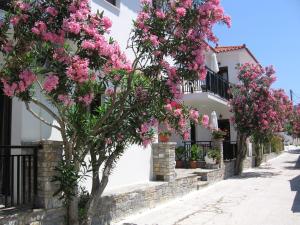 un árbol florido frente a un edificio blanco con flores rosas en Topaz Apartments en Kokkari