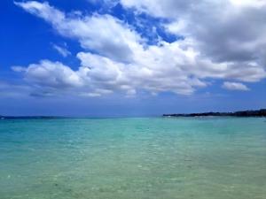 a large body of water with a blue sky and clouds at Flórida House in Praia Grande