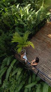 Dos mujeres sentadas en un banco en la jungla en Maze Lodge, en Puerto Jiménez 62 fotos más
