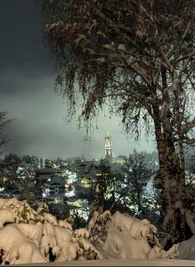 Il giardino dei larici v zimě