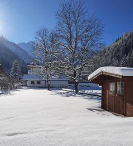 un patio cubierto de nieve con una casa y un árbol en Bleispitze Panorama, en Bichlbach