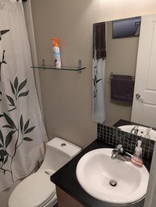 Koupelna v ubytování Cozy Quiet Space - Walking Amenities Nearby