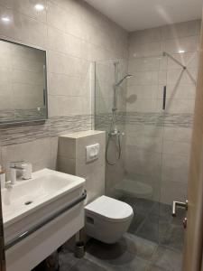 ein Badezimmer mit Toilette, Dusche und Waschbecken in der Unterkunft Villa Prezzi in Novo Selo