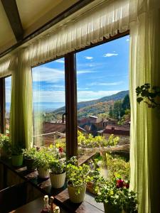 Nespecifikovaný výhled na hory nebo výhled na hory při pohledu z bed and breakfast