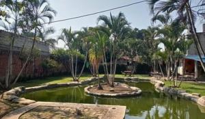 Κήπος έξω από το Habitación Terraza 1