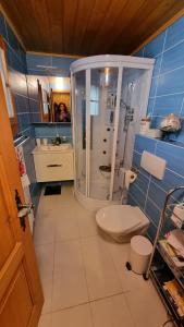 Un baño con ducha, inodoro y lavabo. en Chalet le Moulin - calme, nature, cheminée, vue, en Liddes