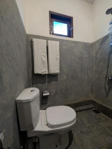 巴勒皮蒂耶Andy Home Stay, Balapitiya的一间带卫生间、窗户和毛巾的浴室