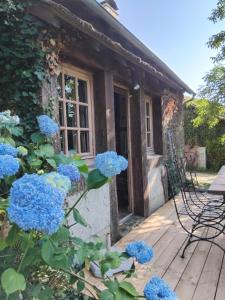 Zahrada ubytování Gîte familial le Puy des Druides + 4 fotografie